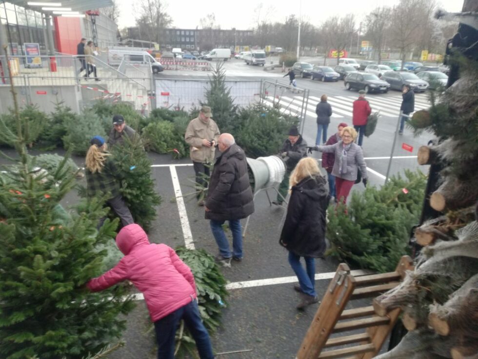 LKW Sonderverkauf - Driehaus Tannenbäume - Weihnachtsbaum online kaufen